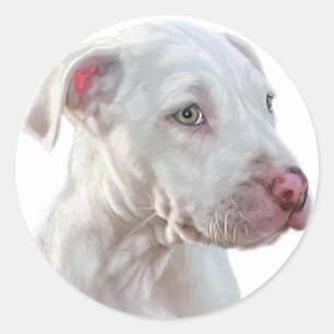 White Pitbull Puppy Ronde Sticker