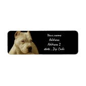 White Pitbull Terrier Etiket (Voorkant)