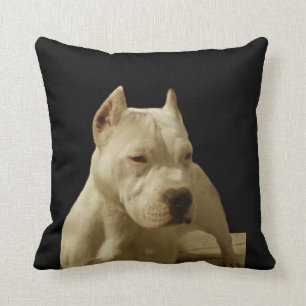 White Pitbull Terrier Kussen