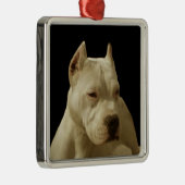 White Pitbull Terrier Metalen Ornament (Rechts)