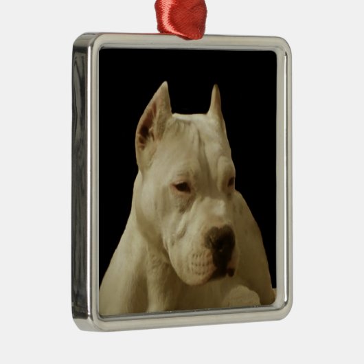 White Pitbull Terrier Metalen Ornament (Rechts)