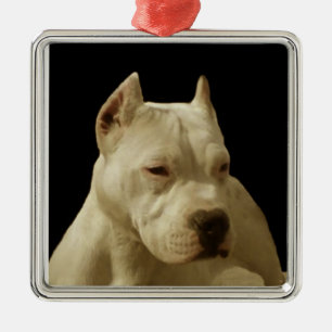 White Pitbull Terrier Metalen Ornament
