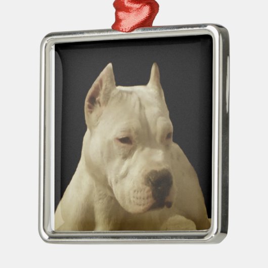 White Pitbull Terrier Metalen Ornament (Links)