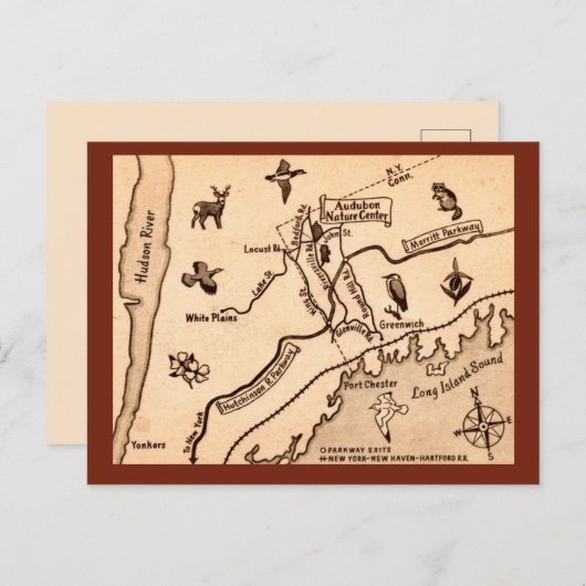 White Plains NY Antieke Ansichtkaart  Briefkaart (Voorkant / Achterkant)