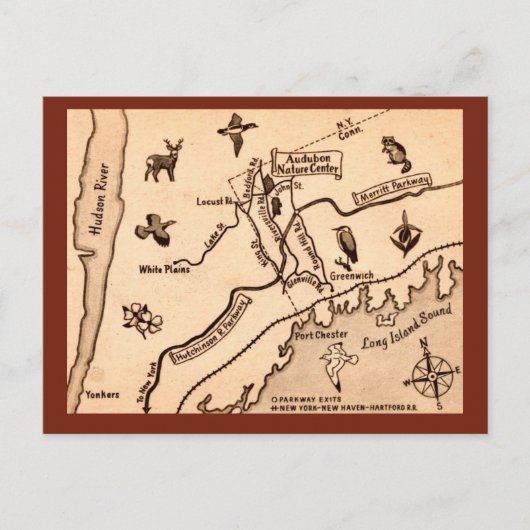 White Plains NY Antieke Ansichtkaart  Briefkaart (Voorkant)