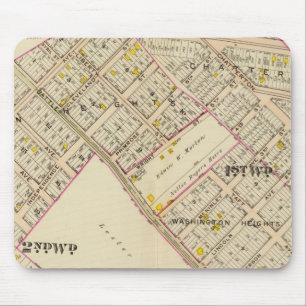 White Plains wards 1-2, New York Muismat
