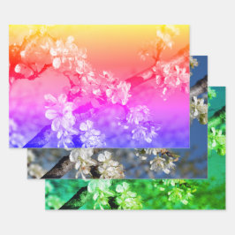 White Plum Blossom in Spring Inpakpapier Vel