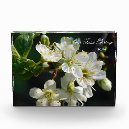 White Plum Blossom Macro | Personalized Photo Bloc Fotoblokken (Voorkant)