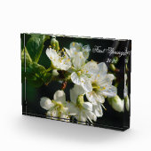 White Plum Blossom Macro | Personalized Photo Bloc Fotoblokken (Rechts)
