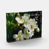 White Plum Blossom Macro | Personalized Photo Bloc Fotoblokken (Links)