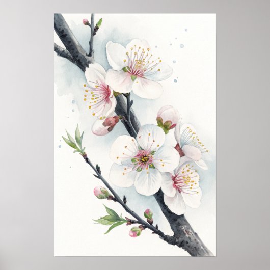 White Plum Blossoms Poster (Voorkant)