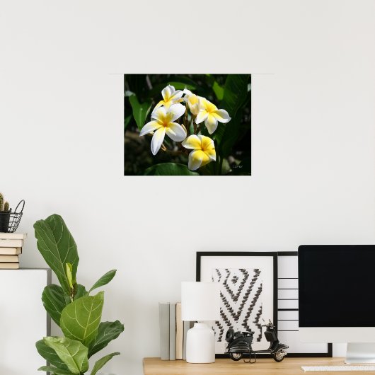 White Plumeria Art Print (Thuiskantoor)