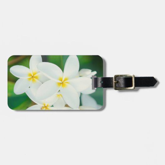 White Plumeria Bagagelabel (Voorkant horizontaal)