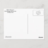 White Plumeria Briefkaart (Achterkant)