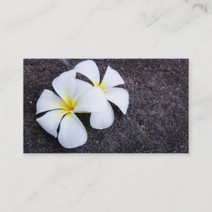 White Plumeria Flower Frangipani Floral Lava Rock Visitekaartje