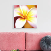 White Plumeria Frangipani Hawaii Flower Hawaiian Canvas Afdruk (Insitu (Woonkamer))