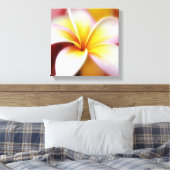 White Plumeria Frangipani Hawaii Flower Hawaiian Canvas Afdruk (Insitu (Slaapkamer))