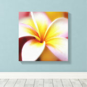White Plumeria Frangipani Hawaii Flower Hawaiian Canvas Afdruk (Insitu (Houten vloer))