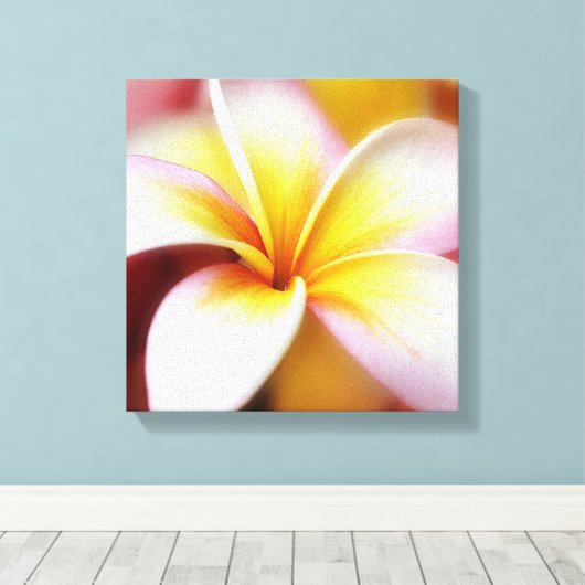White Plumeria Frangipani Hawaii Flower Hawaiian Canvas Afdruk (Insitu (Houten vloer))