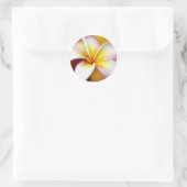 White Plumeria Frangipani Hawaii Flower Hawaiian Ronde Sticker (Tas)