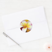 White Plumeria Frangipani Hawaii Flower Hawaiian Ronde Sticker (Envelop)