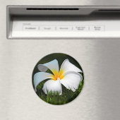 White Plumeria Frangipani Hawaii Flower Magneet (Insitu (Vaatwasser))