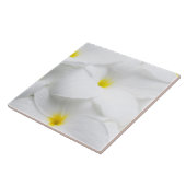 White Plumeria Frangipani Hawaiian Tropical Flower Tegeltje (Zijkant)