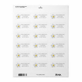 White Plumeria on Blue, Tropical, Floral, Label (Full Sheet)