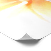 White Plumeria Poster (Hoek)