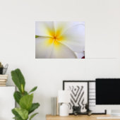 White Plumeria Poster (Thuiskantoor)