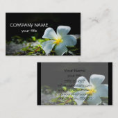 White Plumeria Visitekaartje (Voorkant / Achterkant)