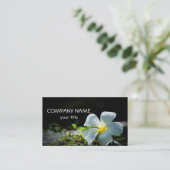 White Plumeria Visitekaartje (Staand voorkant)