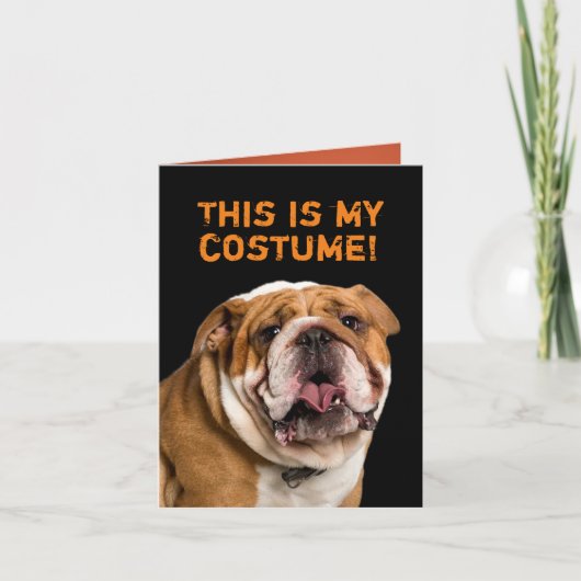 White podle gekleed als Bulldog Halloween Kaart (Voorkant)