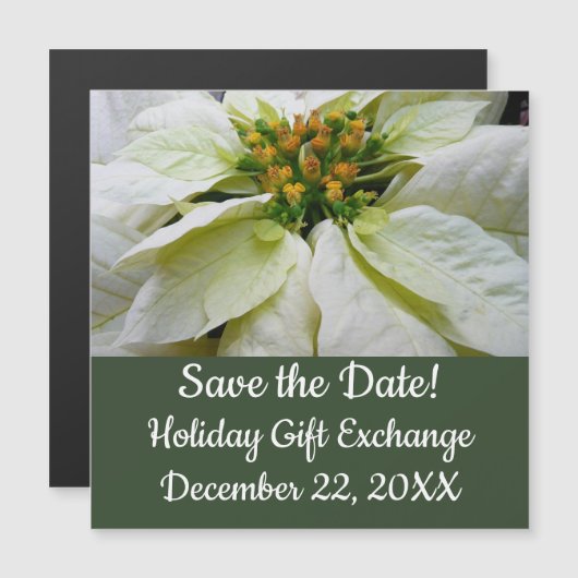 White Poinsettia Elegant Kerstfeestdag Floral (Voorkant / Achterkant)