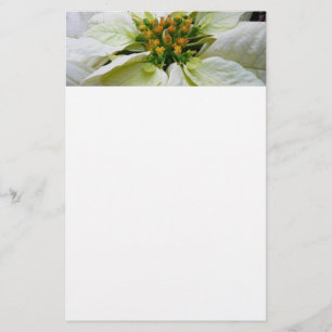 White Poinsettia Elegant Kerstfeestdag Floral Briefpapier