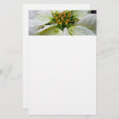 White Poinsettia Elegant Kerstfeestdag Floral Briefpapier (Voorkant / Achterkant)