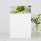 White Poinsettia Elegant Kerstfeestdag Floral Briefpapier (Staand voorkant)
