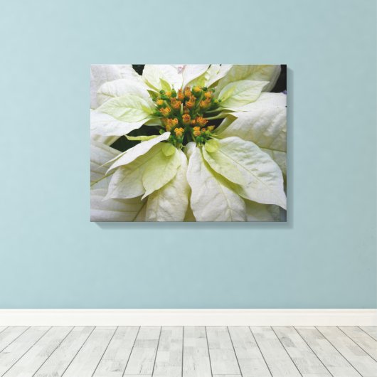 White Poinsettia Elegant Kerstfeestdag Floral Canvas Afdruk (Insitu (Houten vloer))