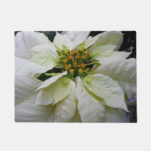 White Poinsettia Elegant Kerstfeestdag Floral Deurmat (Voorkant)