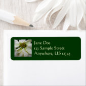 White Poinsettia Elegant Kerstfeestdag Floral Etiket (Insitu)