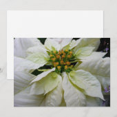 White Poinsettia Elegant Kerstfeestdag Floral Feestdagenkaart (Voorkant / Achterkant)