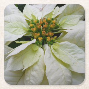 White Poinsettia Elegant Kerstfeestdag Floral Kartonnen Onderzetters