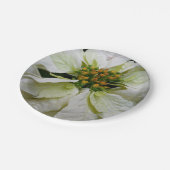 White Poinsettia Elegant Kerstfeestdag Floral Papieren Bordje (Gekanteld)