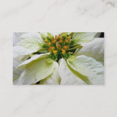 White Poinsettia Elegant Kerstfeestdag Floral Visitekaartje (Achterkant)