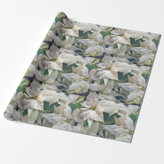 White Poinsettia Holiday Wrapping Paper Cadeaupapier (Uitgerold)