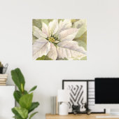 White Poinsettia Poster (Thuiskantoor)