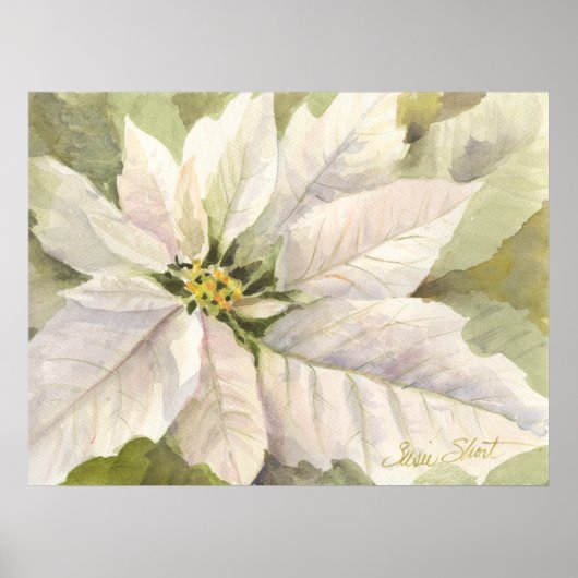 White Poinsettia Poster (Voorkant)