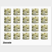 White Poinsettia Square Sticker (Vel)
