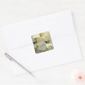 White Poinsettia Square Sticker (Envelop)