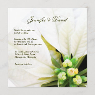 White Poinsettia Wedding Invitation Kaart
